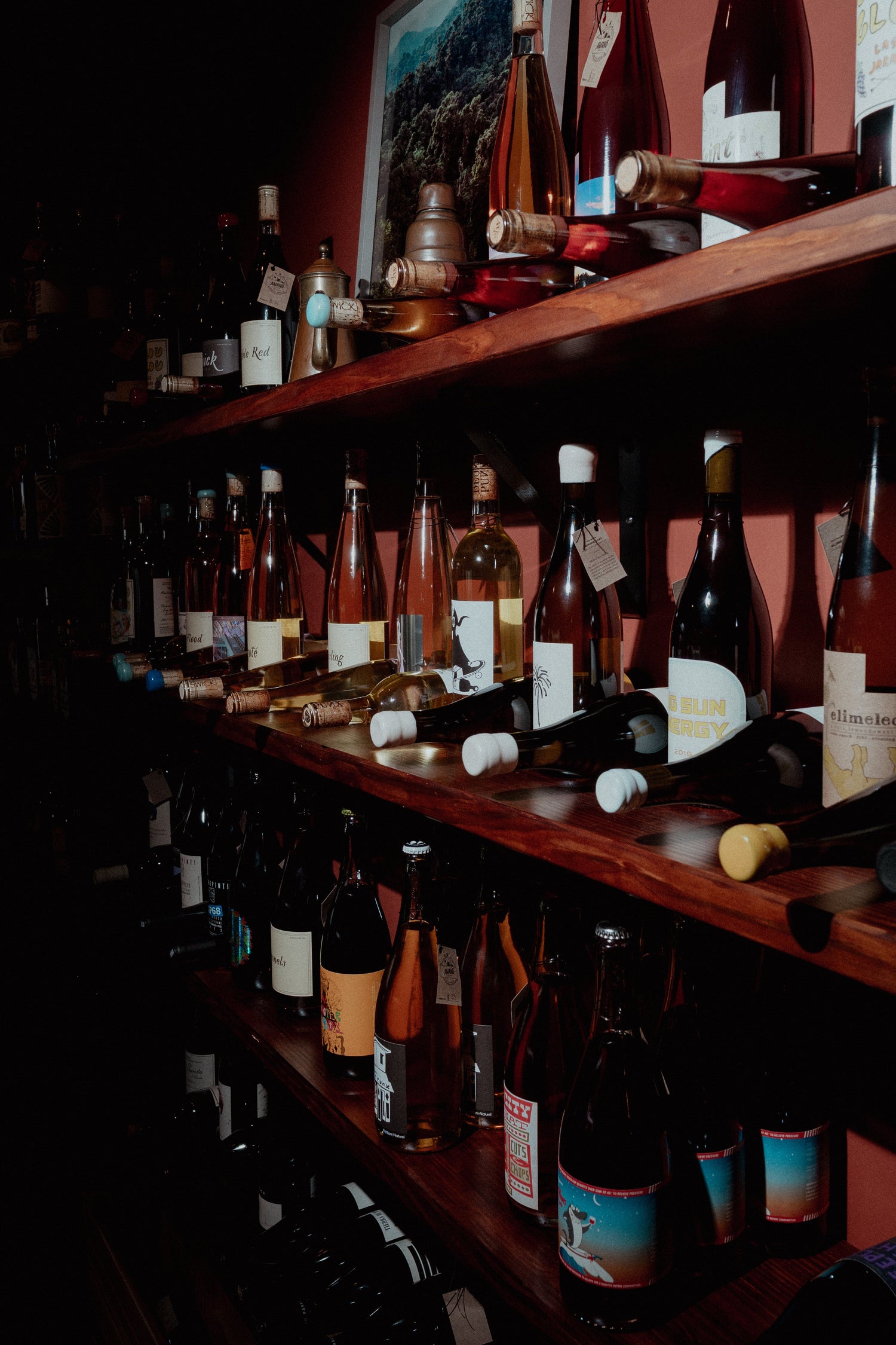 Vinos de baja intervención