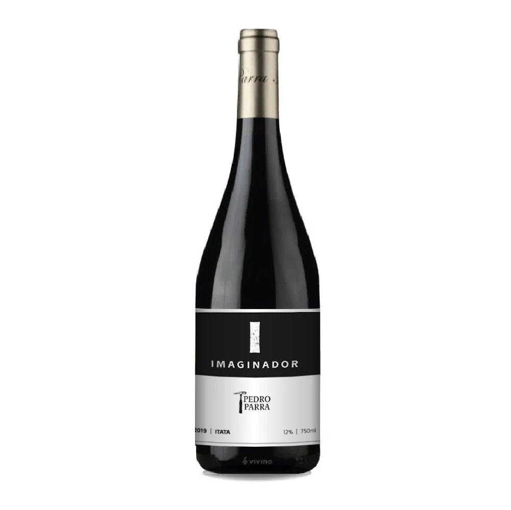 Pedro Parra Imaginador