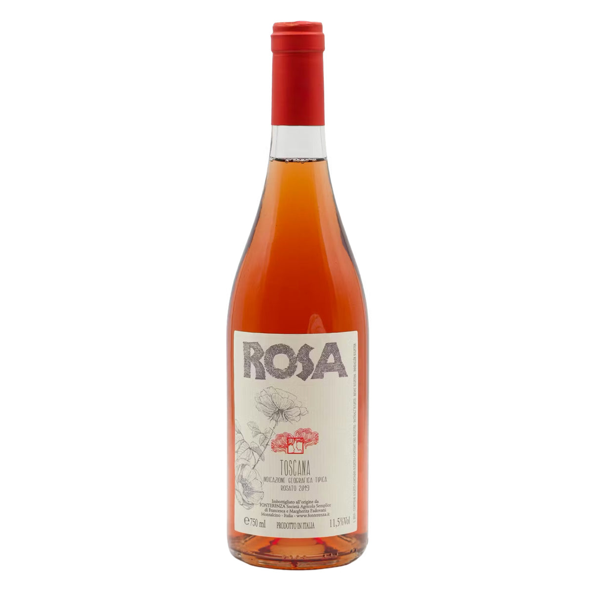 Rosa di Fonterenza
